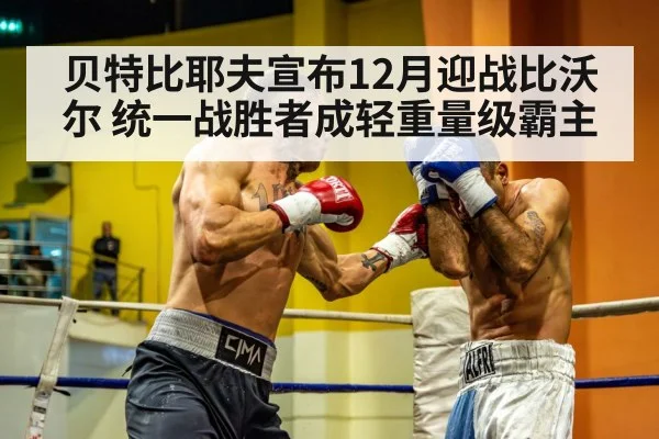 boxing fight championship